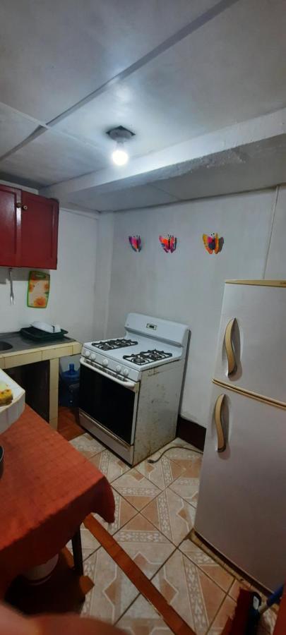 Tropical Dreams Hostel South End Ngoại thất bức ảnh